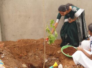 🌲వనమహోత్సవం🌲 